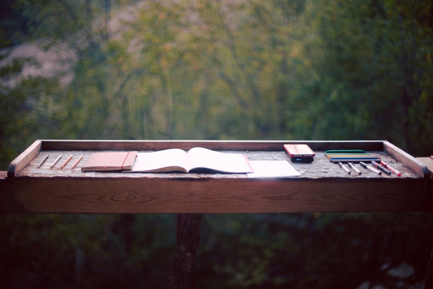 The Evolution of a Literary Journey